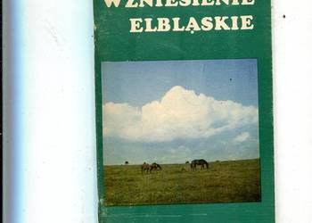Wzniesienie Elbląskie