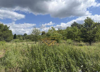 Działka 1200m Musuły