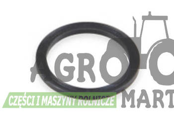 4958830, 79066667, 79066664, 70928584, 151613253 PIERŚCIEŃ REZERWOWY CNH