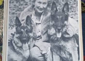 Ali Baba i jego pieskie życie- Maria Ginter