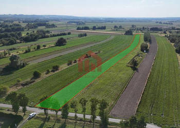 Grunt 7300m2 Świlcza