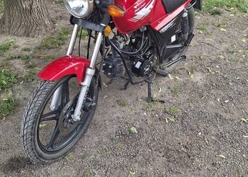 Motorower Barton Fighter 50/110