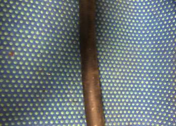 Mercury wąż 32-16012