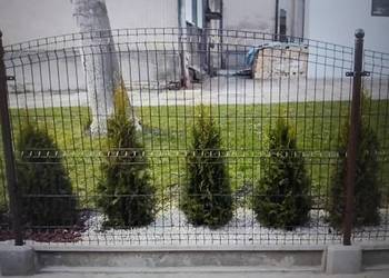 PANEL OGRODZENIOWY FALA