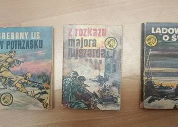 3 tomiki Żółty Tygrys