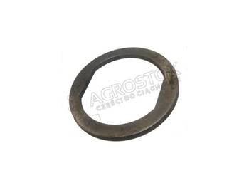 Pierścień ścięty koła dt błotniak