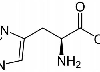 L-Histydyna Histydyna Histidine Czysta 250g