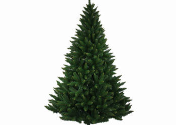 Choinka świerk kłujący 220 cm + stojak GRATIS!