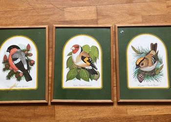 Obrazek z ptaszkiem - do powieszenia. W ramce. Obrazek z ptaszkiem - do powieszenia. W ramce.