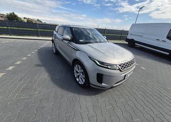 Syndyk sprzeda Land Rover Range Rover Evoque, WF8607W