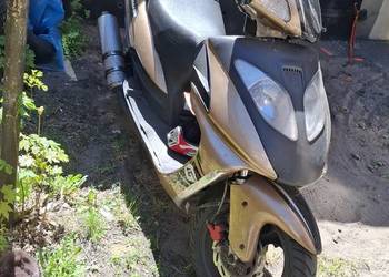 Skuter zipp quantum 125
