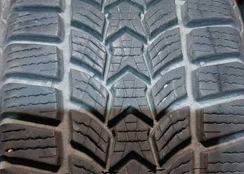 Opony Dębica Frigo HP2 195/55 R16  4  szt bądź 2 szt.  8 mm