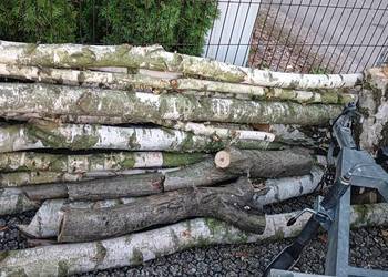 Drewno Brzoza sosna pniaki
