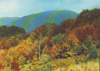 Kart. Pocz. Bieszczady **