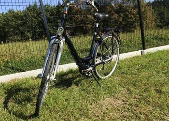 Rower batawus Tricolore