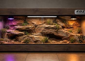 Terrarium pustynne dla agamy brodatej żółwia greckiego