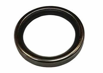 98494952 Uszczelka termostatu CASE