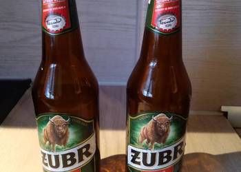 Butelki po piwie ZUBR orginał 150 sztuk