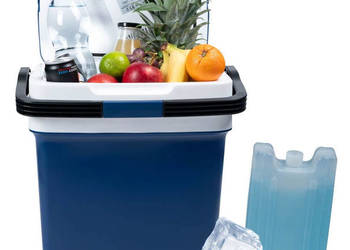 Lodówka turystyczna przenośna samochodowa 29L 220-240V DC12V funkcja grzan…