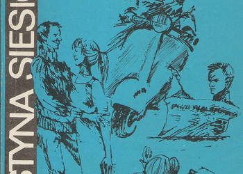 zapałka na zakręcie - K. Siesicka.