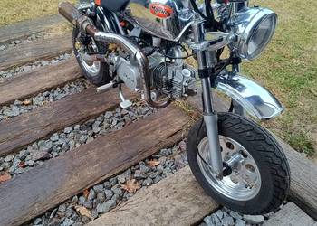 Skyteam monkey Honda