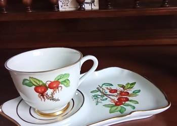 Filiżanka z gałązką dzikiej róży. Na spodku- talerzyku. Syg. E N.