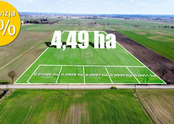 Grunt 4,49 ha z koncepcją 5 domów – Jenin - 0%