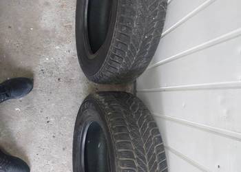 Opony zimowe Dębica