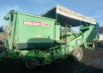 Kombajn wuhlmaus 1733 Rolki sortujące sortownia 1433 Grimme Bergman Anna