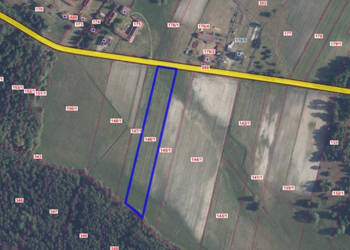 Działka 8000m2 Kluczewsko