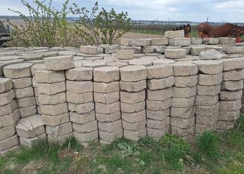 Trylinka sześciokątna