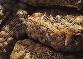 Riviera ziemniaki świeże