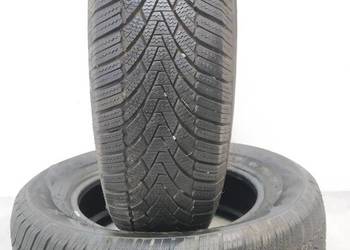 2x OPONA ZIMOWA ARIVO WINMASTER PROX ARW3 195/65R15 (3523) 6.54 (3023) 7.53