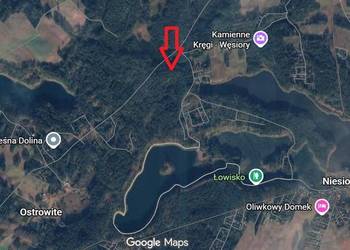 Kompleks leśny 5,8 ha – Sosna 75 lat | Gmina Sulęczyno | Bezpośrednio