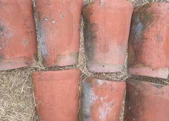 Sprzedam gąsiory poniemieckie