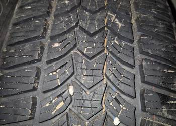 Opony zimowe Dębica 225/55 r16