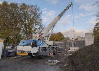 TEREX AC 60-3L