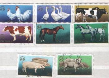 Zn. Fi 2231 - 8 kas 1975