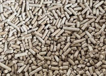 Pellet sosnowy 100% sosna 6 mm producent Pleszew