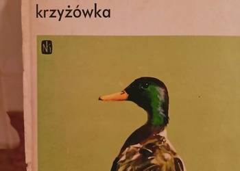 Kaczka krzyżówka Sokołowski książki Warszawa księgarnia Prag