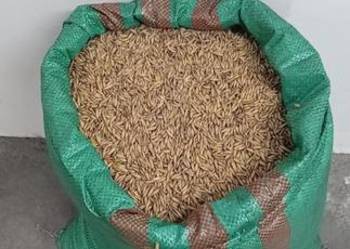 Sprzedam owies workowany