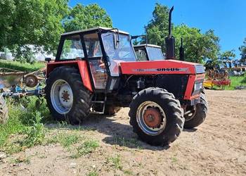 Ursusa 1224