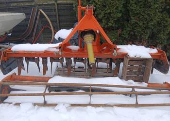 Brona wirowa maschio 2,5