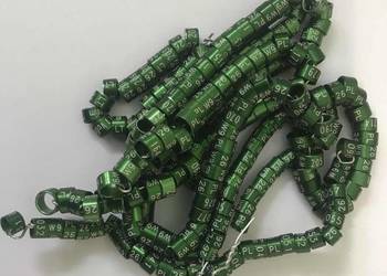 kanarek i inne obrączki - Twój inicjał, sygnum, cih