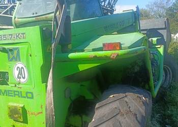 Merlo