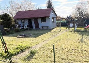 Działka Rod Dzierżona Nysa - nie zalana