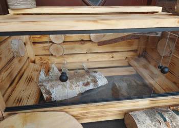 Terrarium z wybiegiem żółw grecki jeż pigmejski