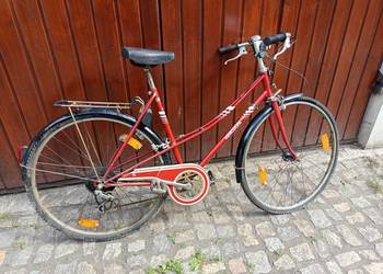 Rower Vintage Hercules