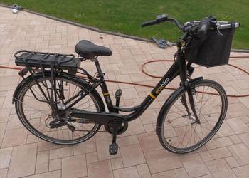 Rower ECOBIKE Basic