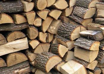 Drewno kominkowe i opałowe